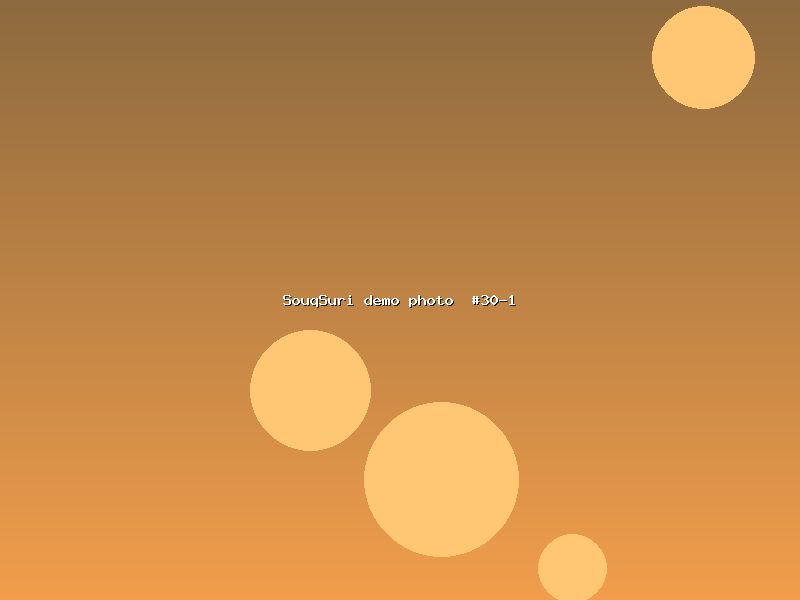 وظيفة مبرمج ويب Laravel/React